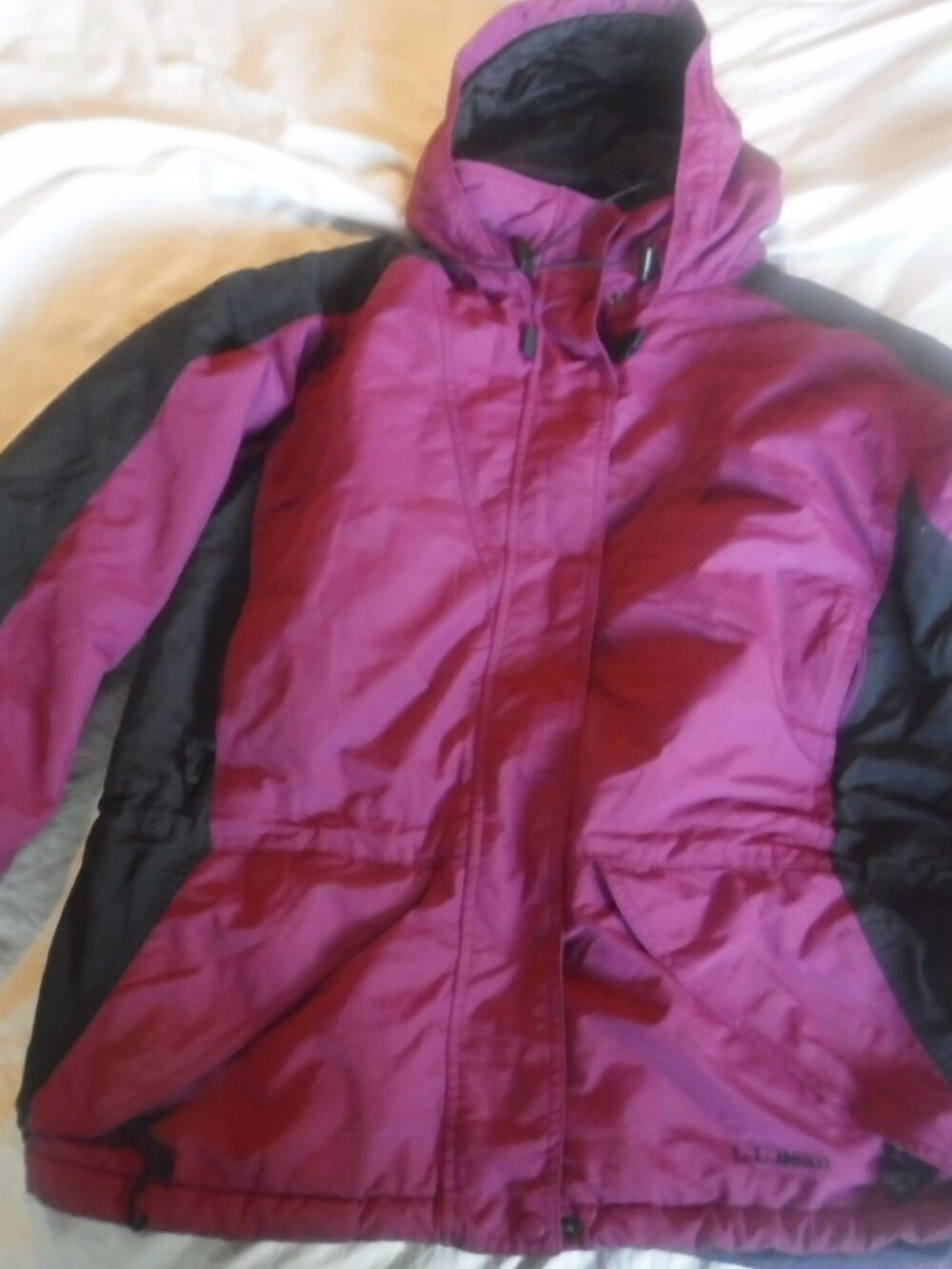 LL Bean Purple Maroon Size Medium Winter Womens Jacket Pre Owned